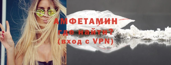 гидра Богданович
