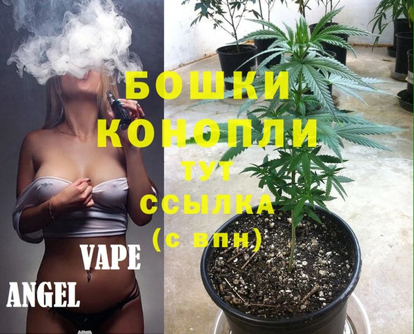 гидра Богданович