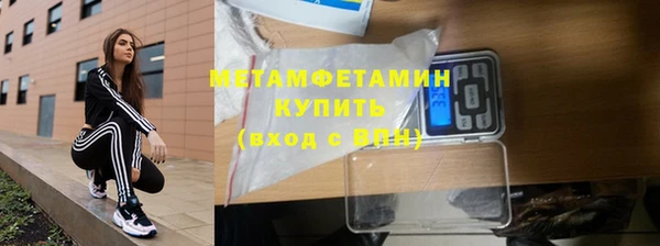 гидра Богданович