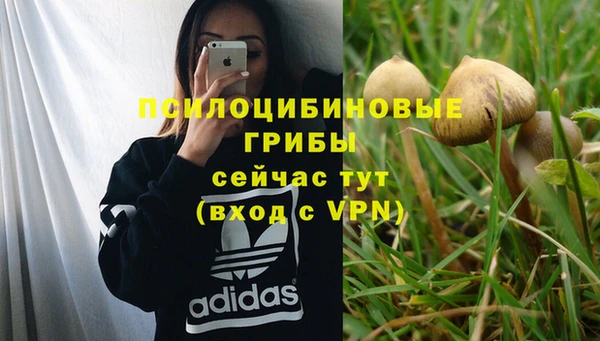 сатива Дмитров