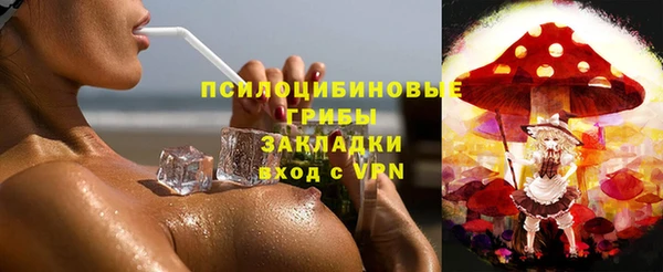 Альфа ПВП Богородицк