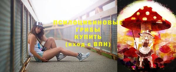 гидра Богданович