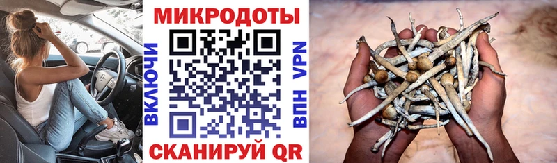Псилоцибиновые грибы Cubensis  магазин продажи наркотиков  Верхний Тагил 